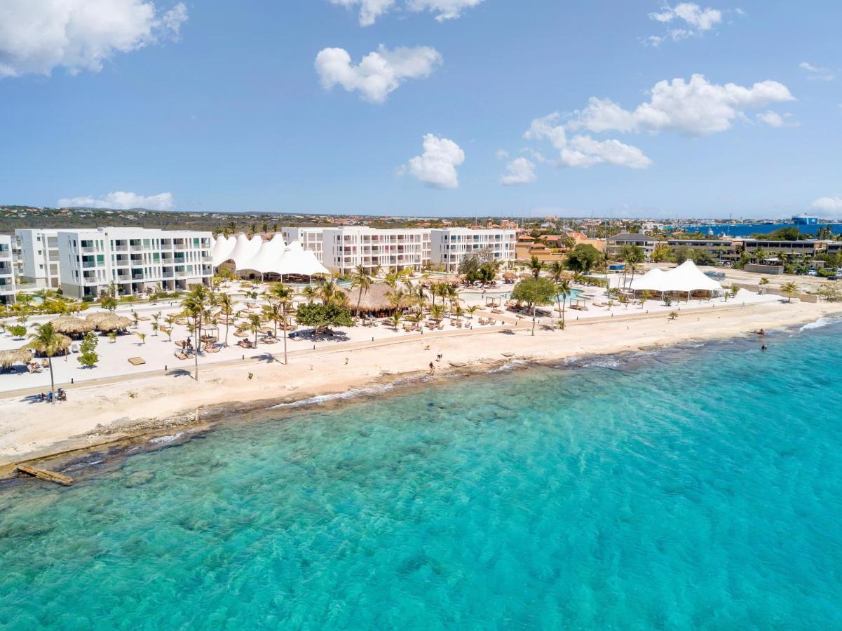 Chogogo Dive & Beach Resort Bonaire Κράλεντικ Εξωτερικό φωτογραφία