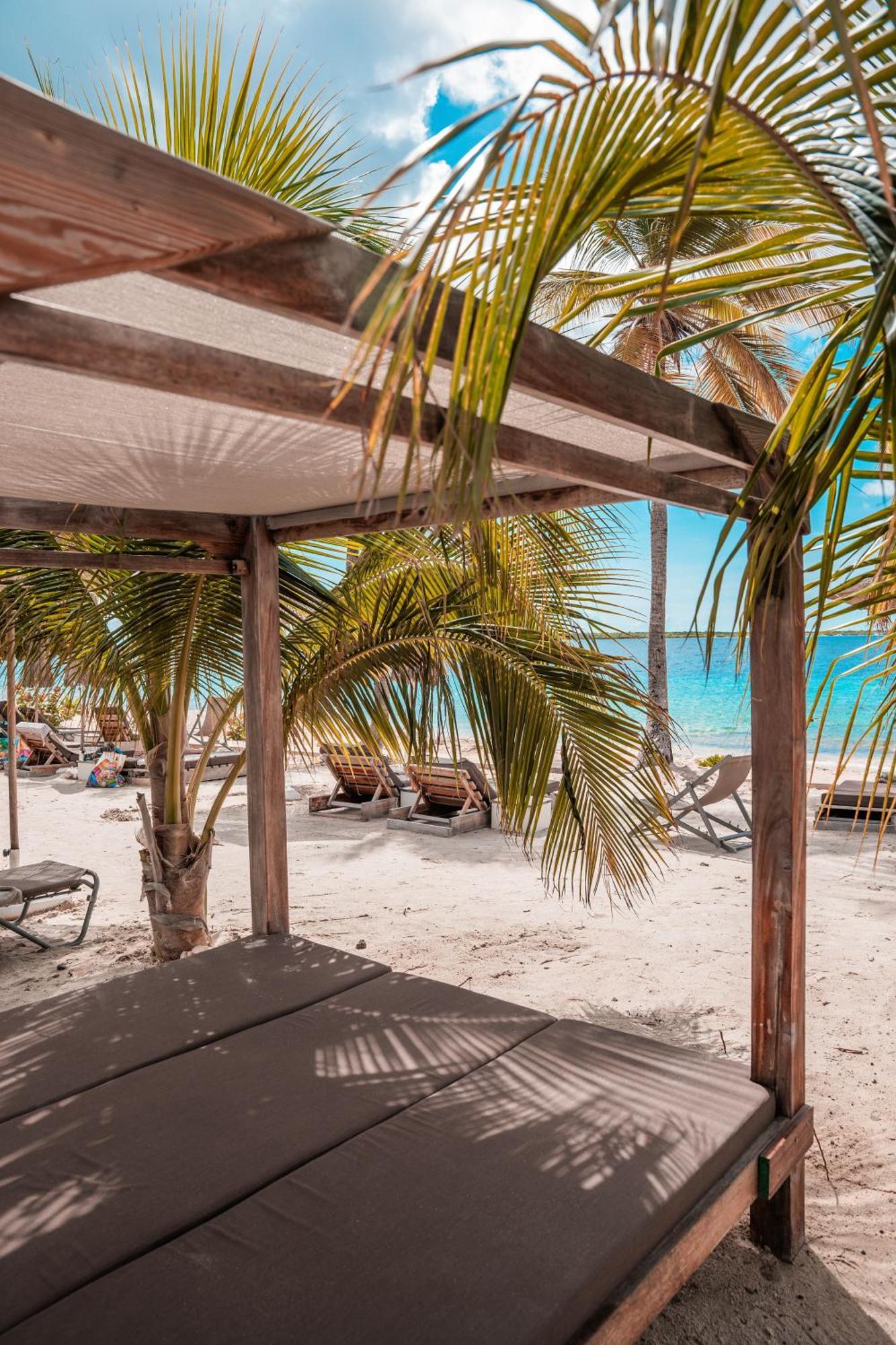 Chogogo Dive & Beach Resort Bonaire Κράλεντικ Εξωτερικό φωτογραφία