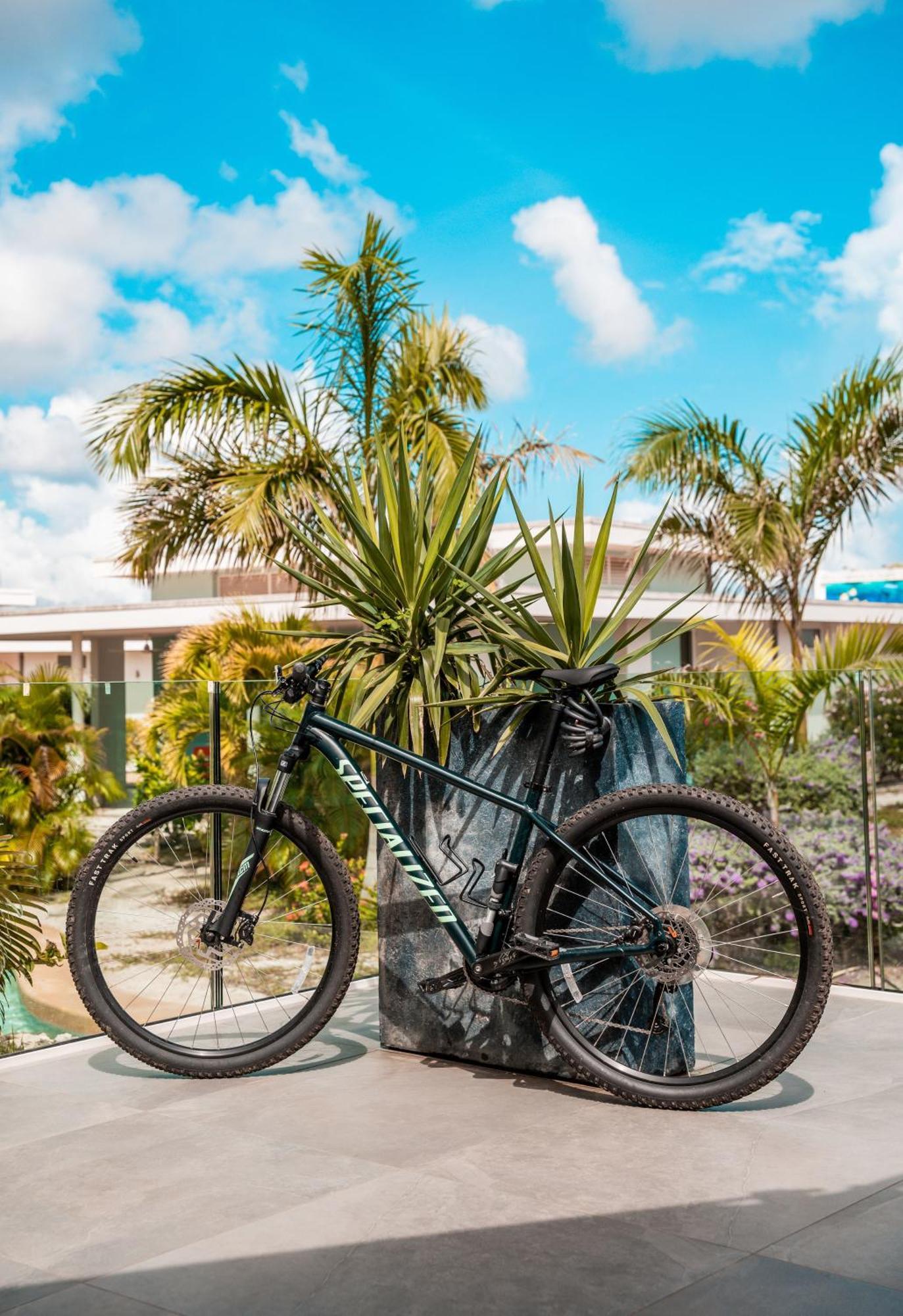 Chogogo Dive & Beach Resort Bonaire Κράλεντικ Εξωτερικό φωτογραφία