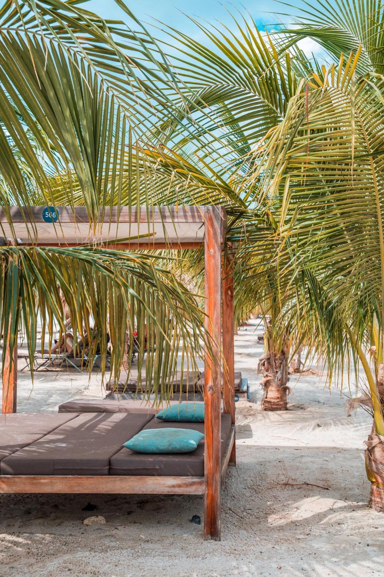 Chogogo Dive & Beach Resort Bonaire Κράλεντικ Εξωτερικό φωτογραφία
