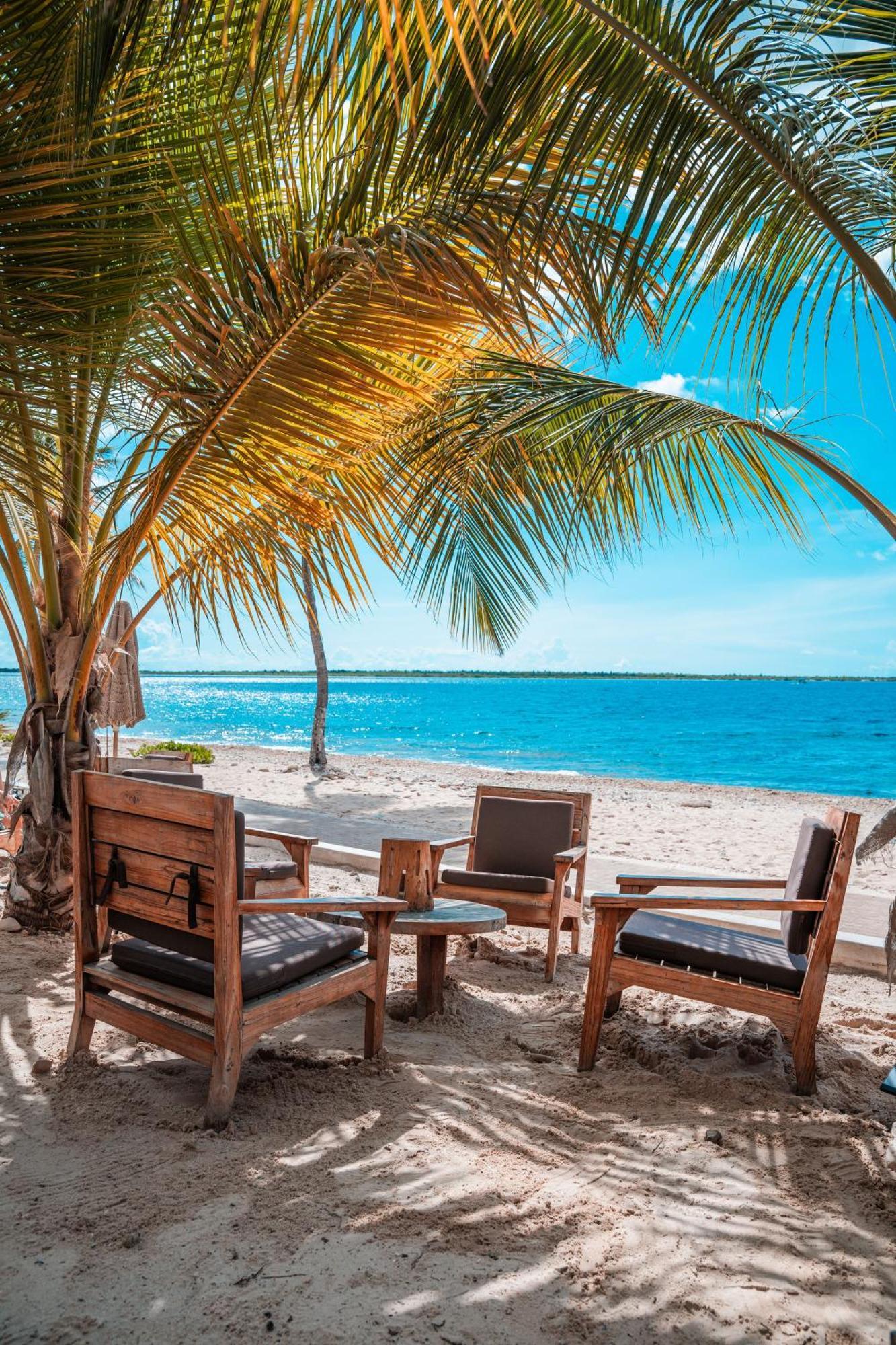 Chogogo Dive & Beach Resort Bonaire Κράλεντικ Εξωτερικό φωτογραφία